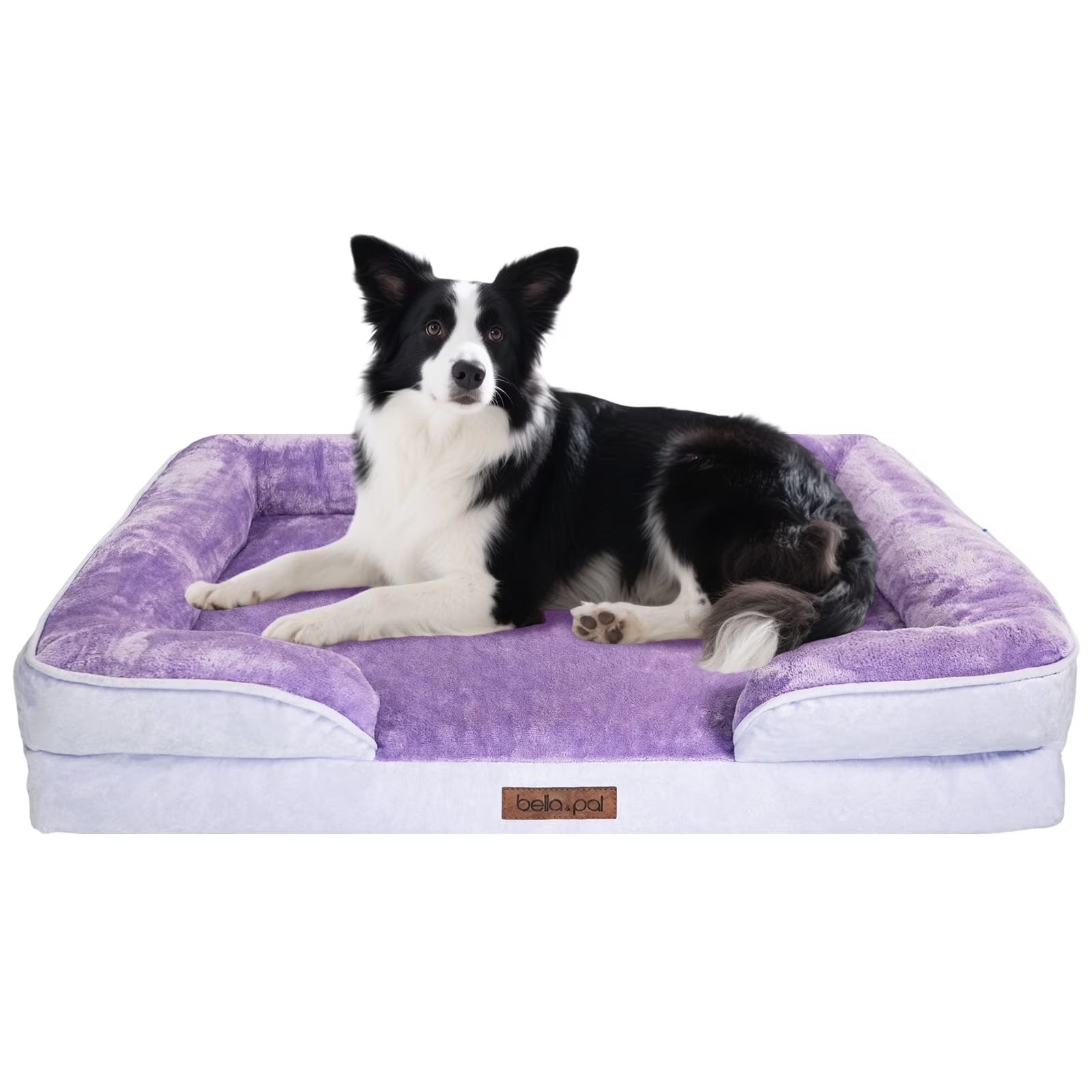 BELLA & PAL Orthopedic Dog Bed for Medium Small Dogs,Removable Washable,TPU waterproof layer, Non-Slip Bottom Dog Sofa Bed