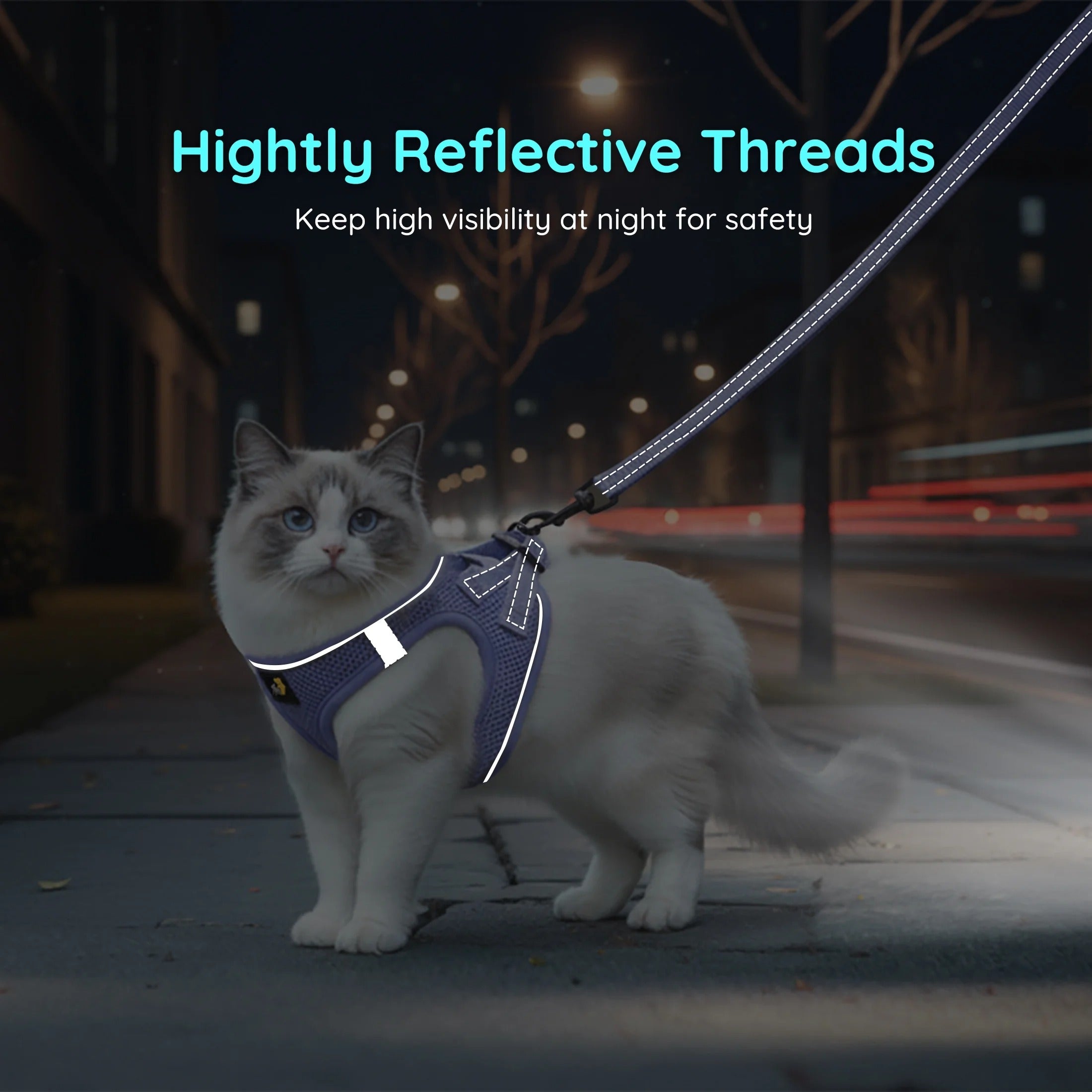 BELLA & PAL Cat Harness and Leash for Walking,Breathable Air Mesh Adjustable Vest Harnesses for Cats, Easy Control Safety Reflective Strips Harness