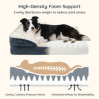 BELLA & PAL Orthopedic Dog Bed for Medium Small Dogs,Removable Washable,TPU waterproof layer, Non-Slip Bottom Dog Sofa Bed