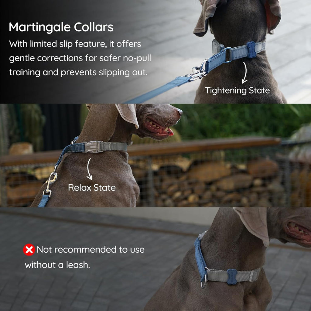 BELLA & PAL Slip Martingale Collar for Dogs, Limited Slip Design, Reflective, Escape-Proof, Gentle Control, Adjustable Training Collar with Quick-Release Strong Buckle, S
