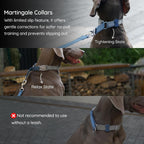 BELLA & PAL Slip Martingale Collar for Dogs, Limited Slip Design, Reflective, Escape-Proof, Gentle Control, Adjustable Training Collar with Quick-Release Strong Buckle, S