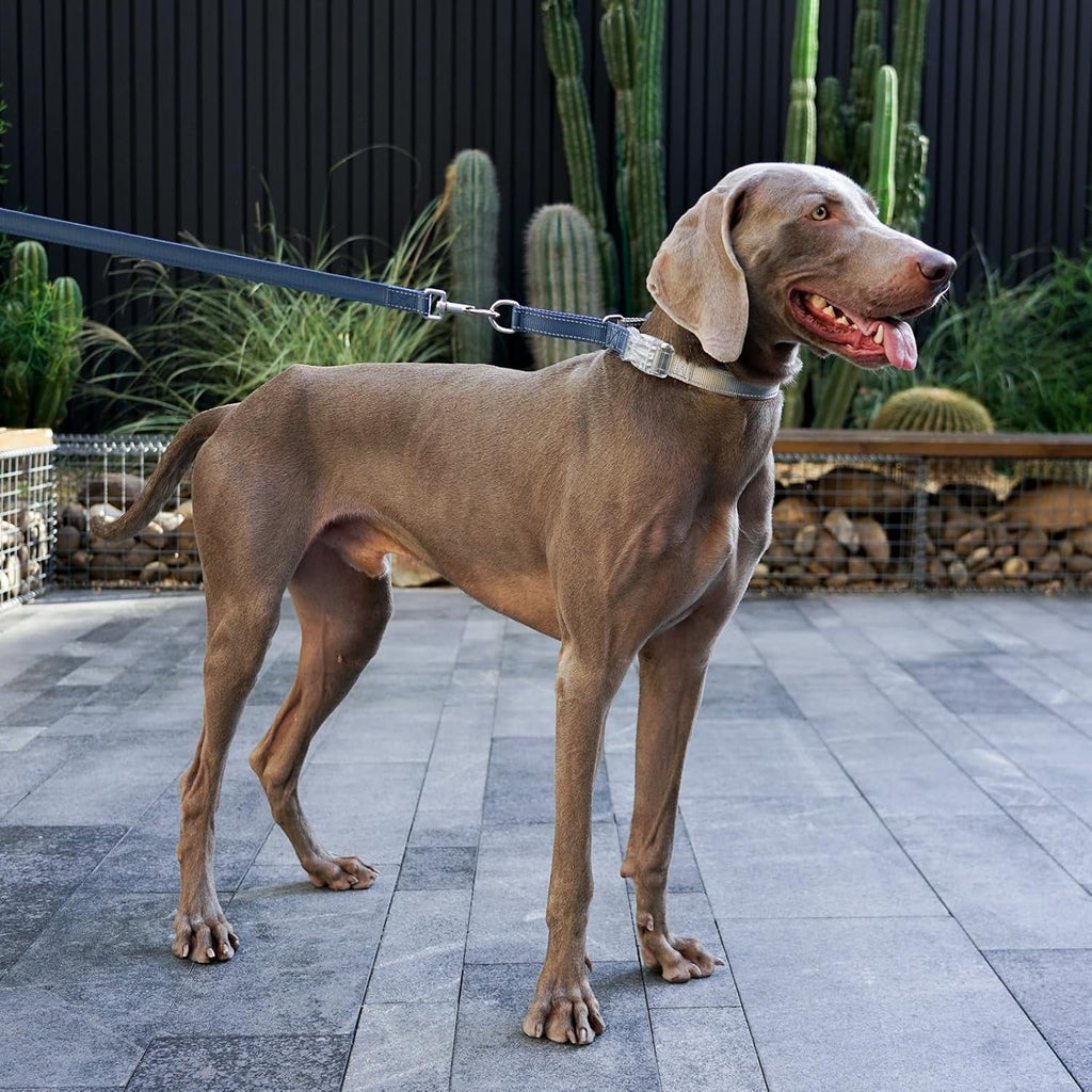 BELLA & PAL Slip Martingale Collar for Dogs, Limited Slip Design, Reflective, Escape-Proof, Gentle Control, Adjustable Training Collar with Quick-Release Strong Buckle, S