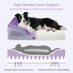 BELLA & PAL Orthopedic Dog Bed for Medium Small Dogs,Removable Washable,TPU waterproof layer, Non-Slip Bottom Dog Sofa Bed