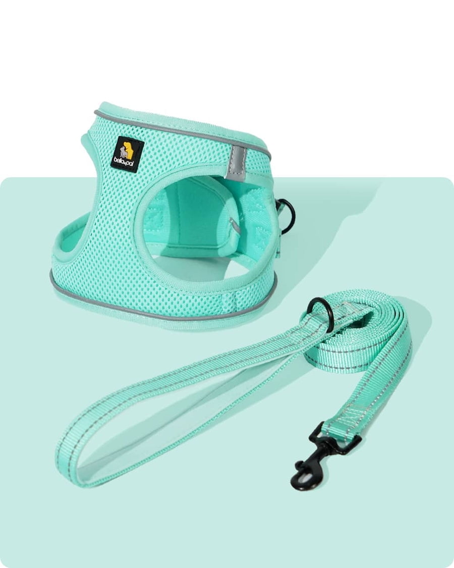 BELLA & PAL Cat Harness and Leash for Walking,Breathable Air Mesh Adjustable Vest Harnesses for Cats, Easy Control Safety Reflective Strips Harness