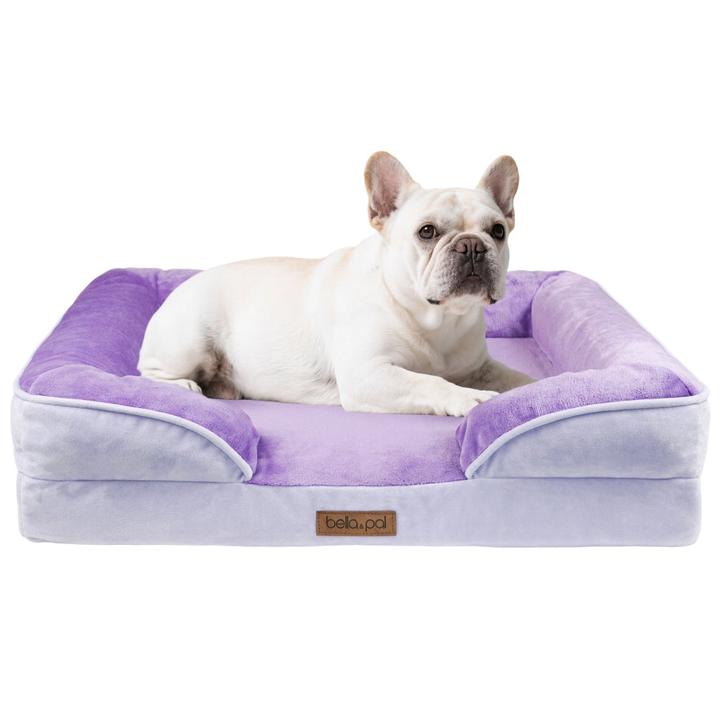 BELLA & PAL Orthopedic Dog Bed for Medium Small Dogs,Removable Washable,TPU waterproof layer, Non-Slip Bottom Dog Sofa Bed