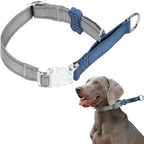 BELLA & PAL Slip Martingale Collar for Dogs, Limited Slip Design, Reflective, Escape-Proof, Gentle Control, Adjustable Training Collar with Quick-Release Strong Buckle, S