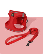 BELLA & PAL Cat Harness and Leash for Walking,Breathable Air Mesh Adjustable Vest Harnesses for Cats, Easy Control Safety Reflective Strips Harness