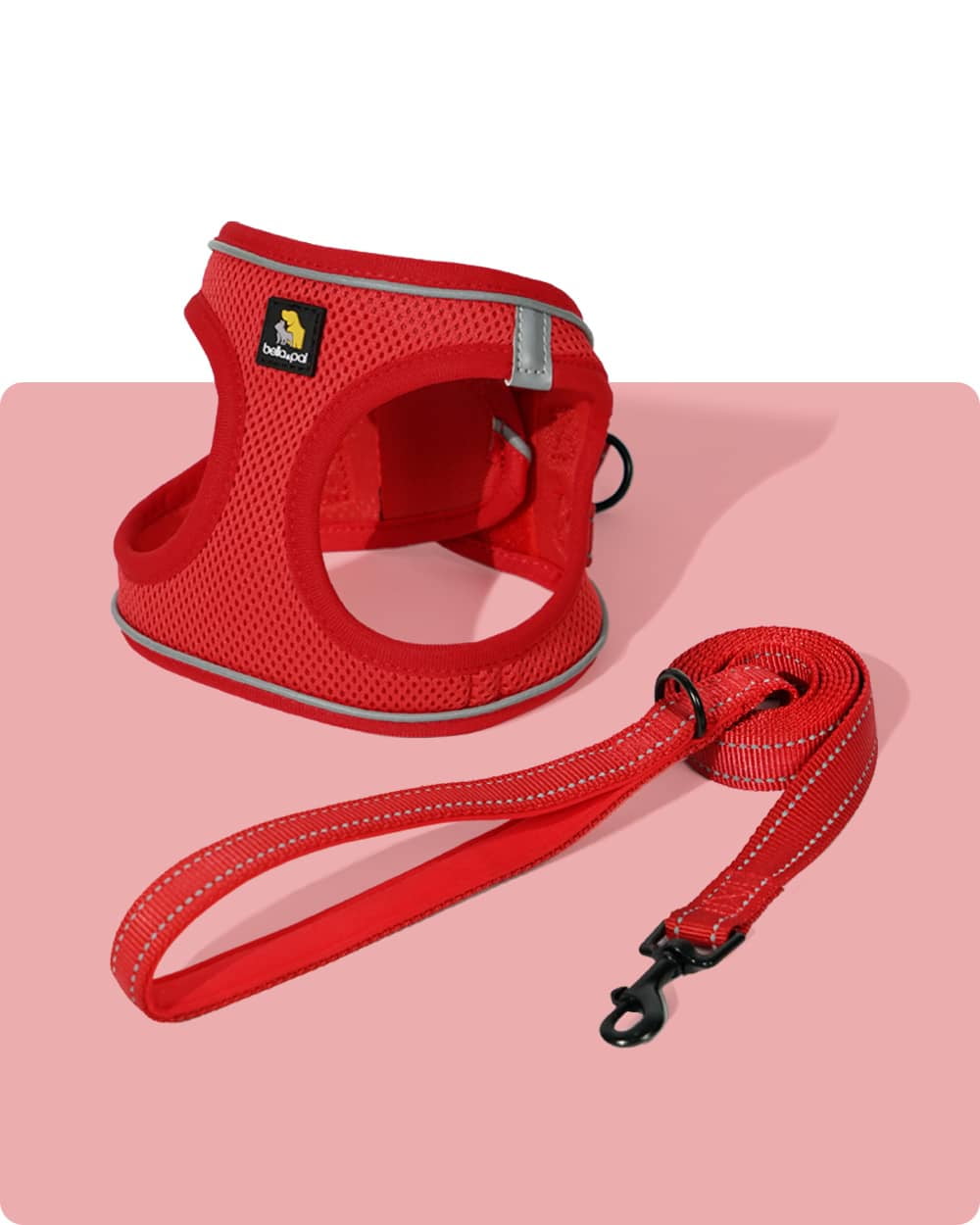 BELLA & PAL Cat Harness and Leash for Walking,Breathable Air Mesh Adjustable Vest Harnesses for Cats, Easy Control Safety Reflective Strips Harness