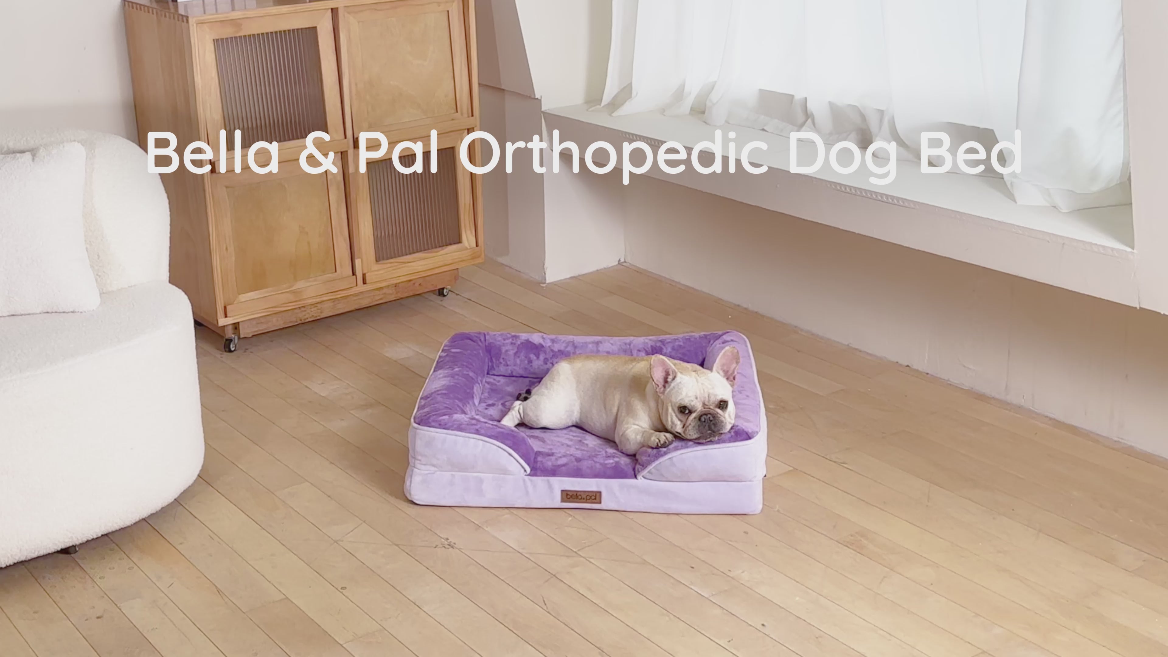 BELLA & PAL Orthopedic Dog Bed for Medium Small Dogs,Removable Washable,TPU waterproof layer, Non-Slip Bottom Dog Sofa Bed